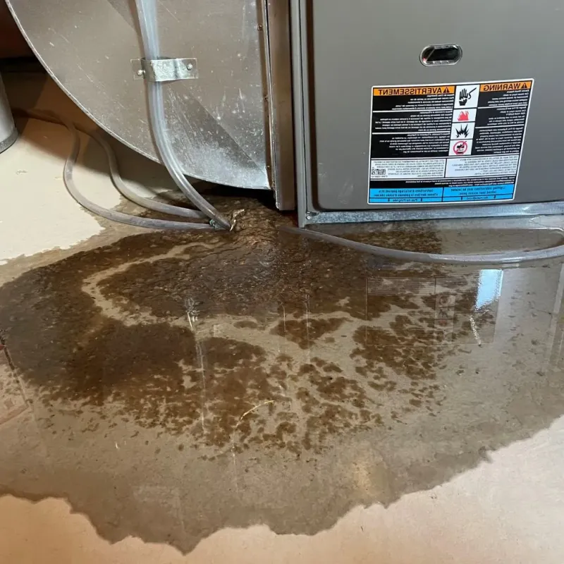 Pipe Burst and Leak Restoration in Wyandot County, OH