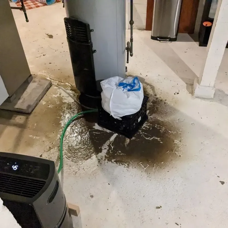 Sewage Backup Cleanup Service in Wyandot County, OH